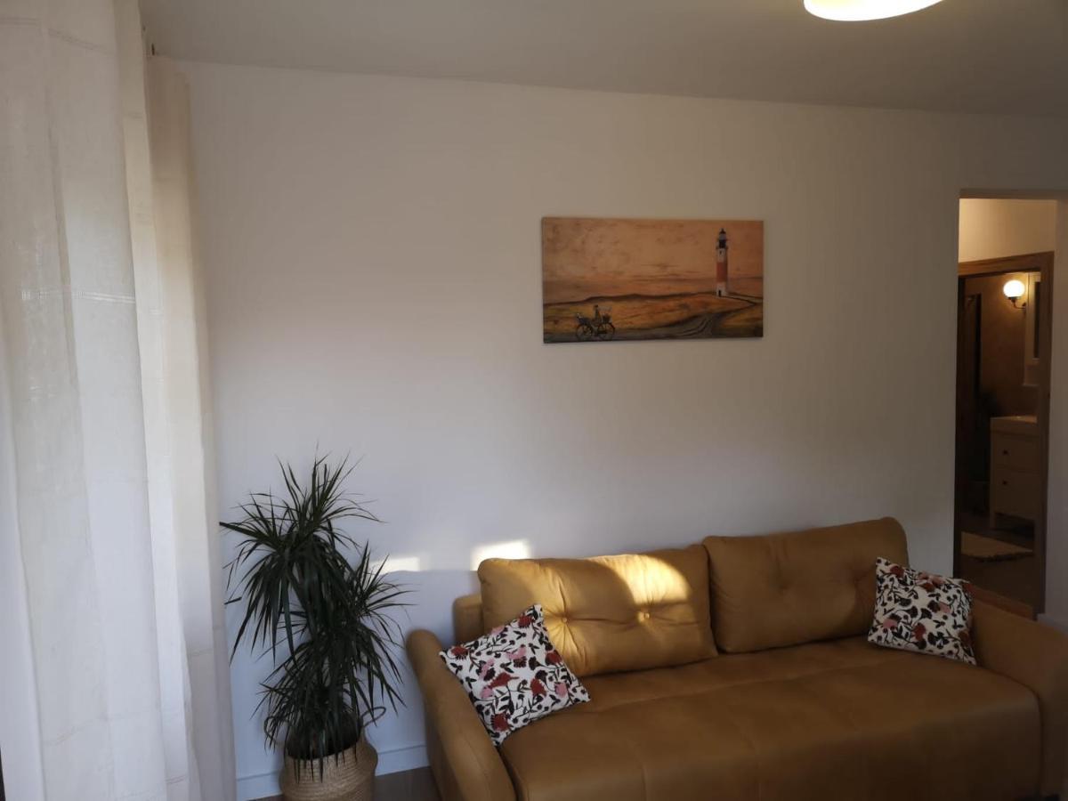 Lovro Luxury Apartment With Jacuzzi And Terrace Sea View サリ エクステリア 写真